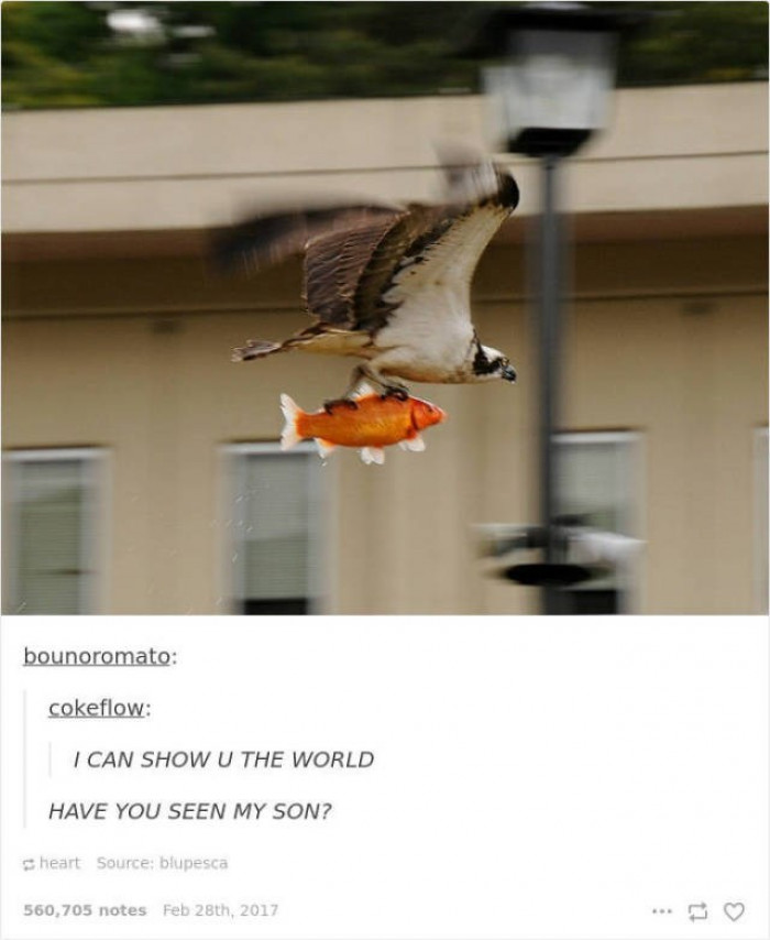 41. Showing you the world