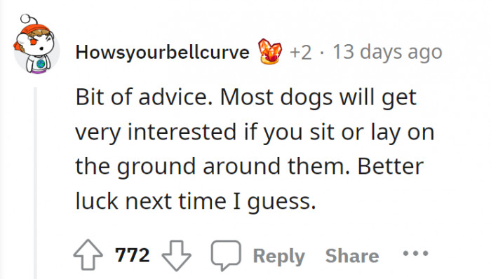 A dog how-to for noobs. Try again next time, OP!