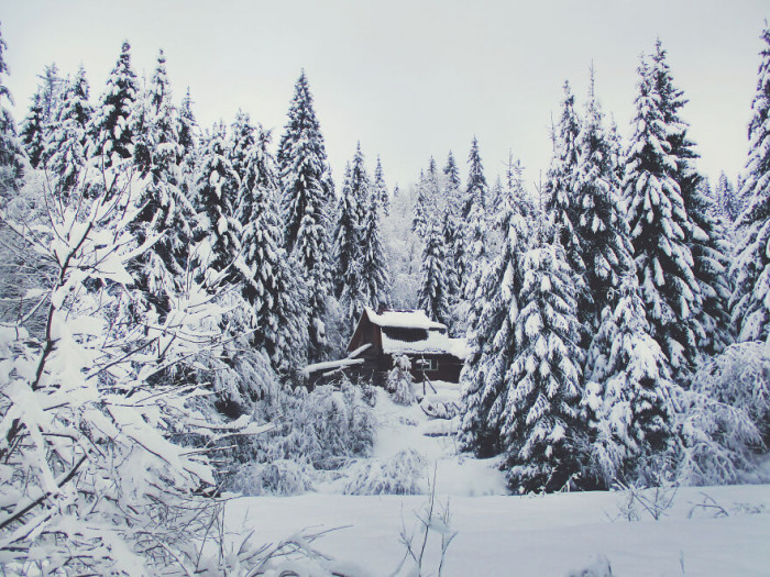 4. This cabin could be the perfect place to escape and enjoy the beauty of winter: