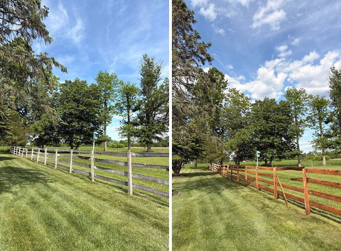 "Bringing This Old Fence Back To Life"