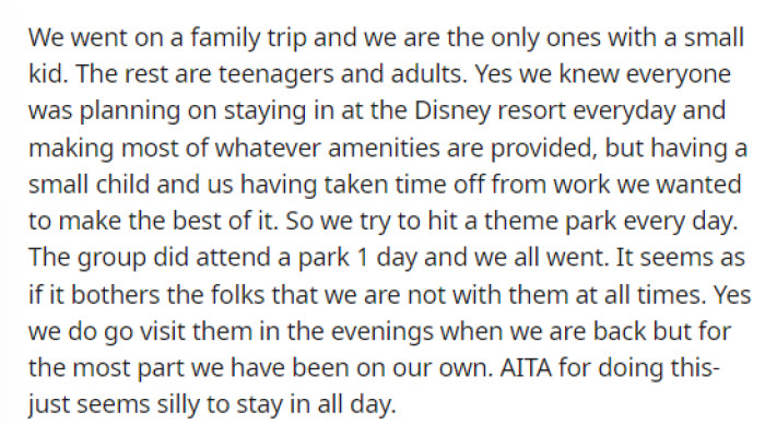 OP shares their situation in a concise paragraph, explaining the full context of the Disney vacation and their desires during it.