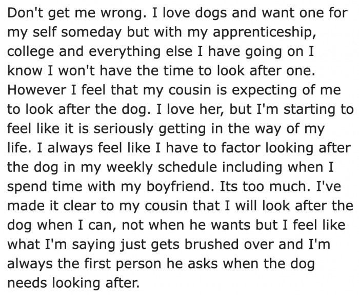 The cousin expects the OP to take care of the dog.