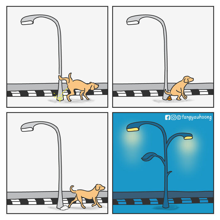 Now we know where the lights get all that fuel to keep our nights bright.