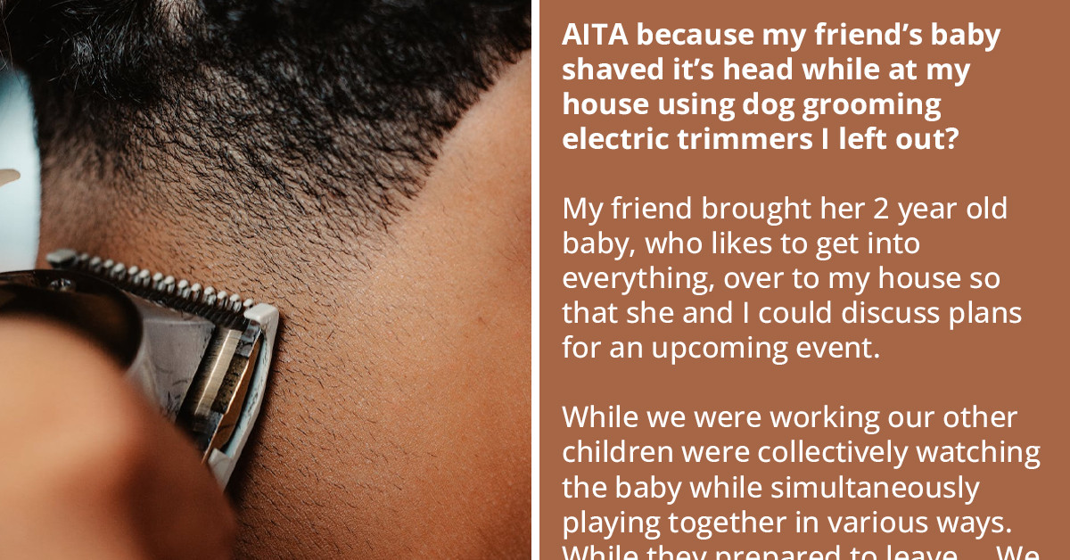 2 Y.O. Boy Shaves Its Head With The Dog Grooming Electric Trimmers And Is Left Looking Like A "Reverse Hitler Mustache," Woman Blames Redditor For It