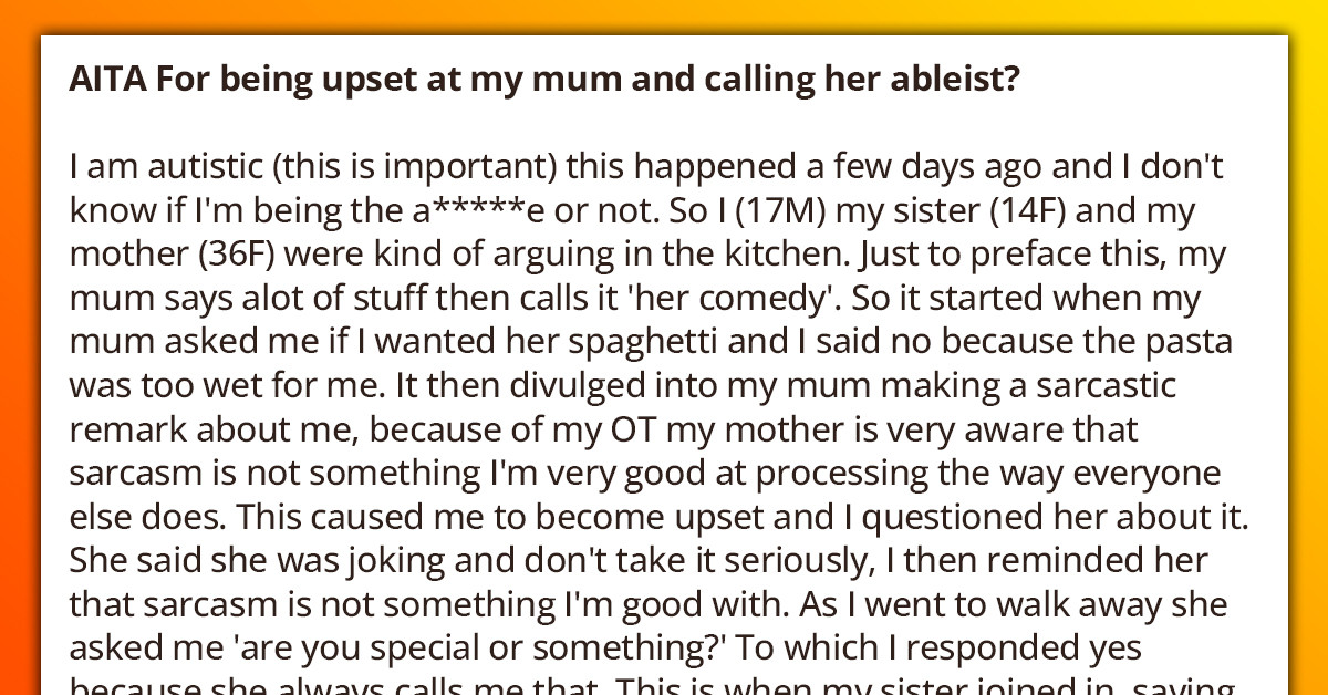 Reddit Sides With Autistic Teenager Who Called His Mom Ableist Because Of Her Sarcastic Remarks