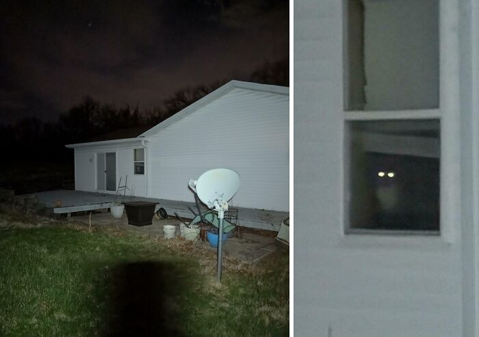 'Took This Photo While Walking The Dog Tonight. We Don't Have A Cat'