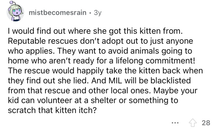Okay, but where did she get the kitten from?