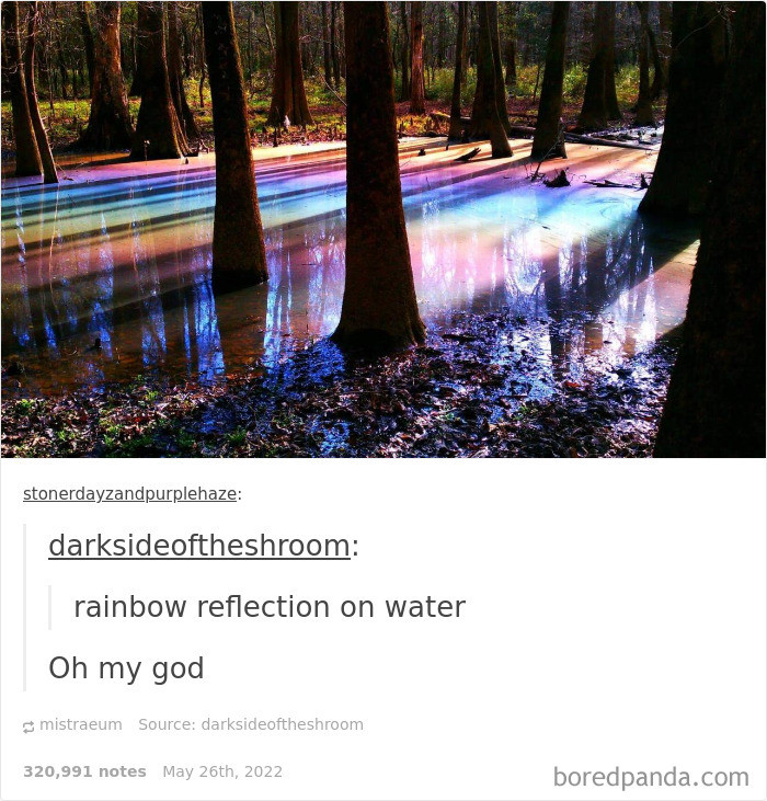 23. The rainbow's reflection on water