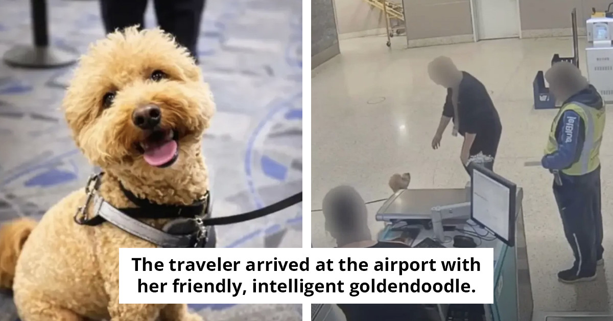 Airport personnel uncover a tragic situation after informing a woman that her dog cannot accompany her on the flight.