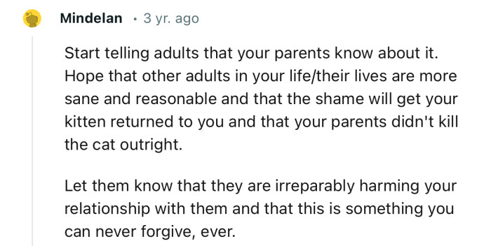 Let them know that they are irreparably harming your relationship with them and that this is something you can never forgive.
