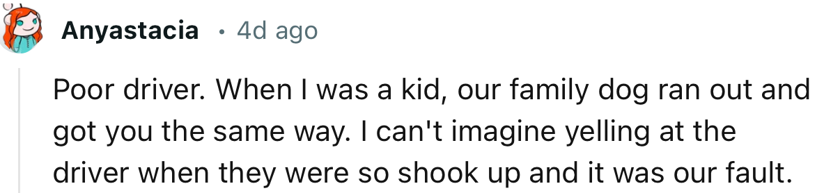 “Poor driver. When I was a kid, our family dog ran out and got you the same way.”
