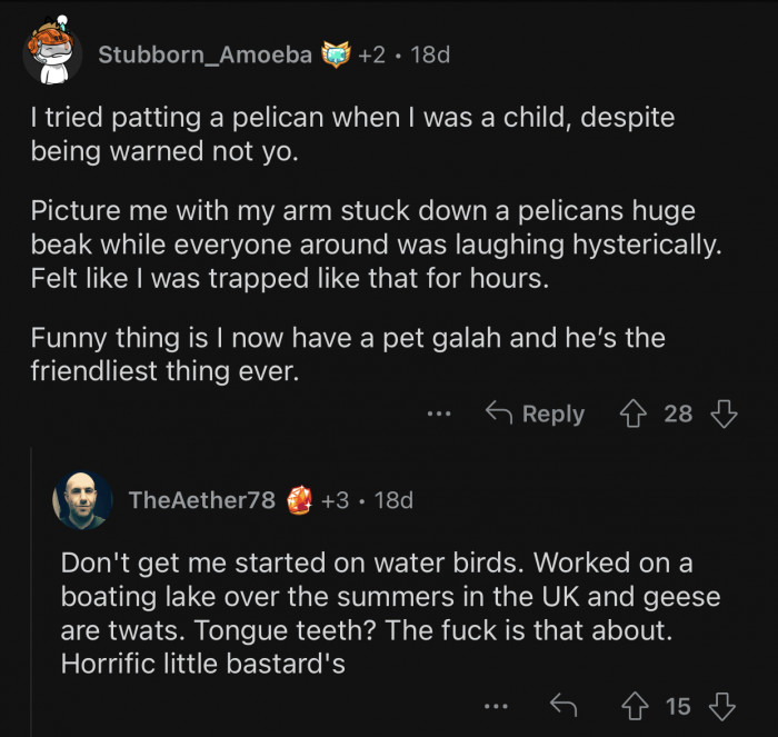Water birds are even scarier.