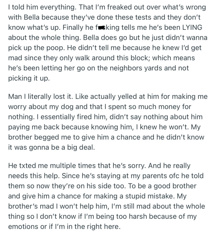 Turns out OP’s brother had been lying all along