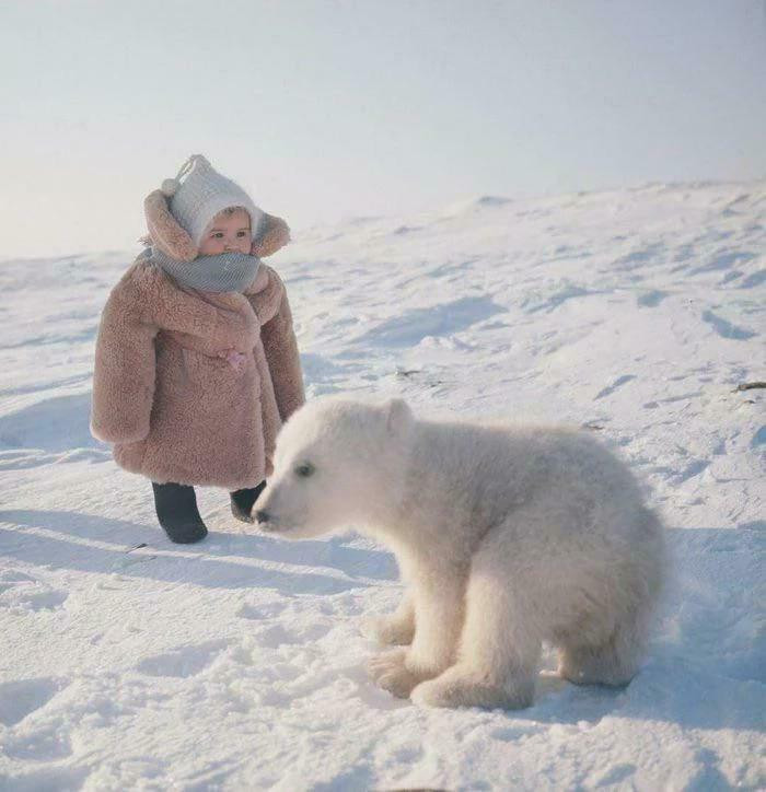 "A Polar Bear Cub And Child Meet, (1975), Wrangel Island, Chukotka Autonomous Okrug, Russian SFSR"