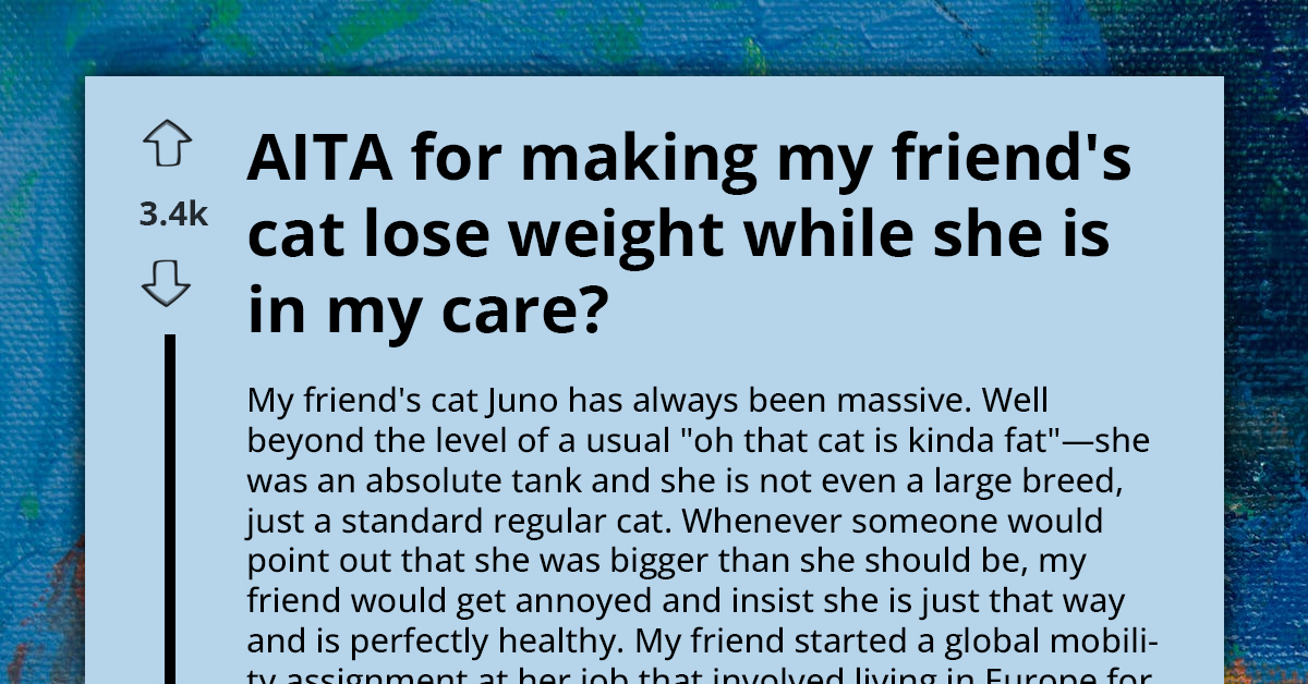 Woman Puts Friend's Overweight Cat on Diet During Year-Long Pet Sitting, Angering Friend for Making Decision Without Consent