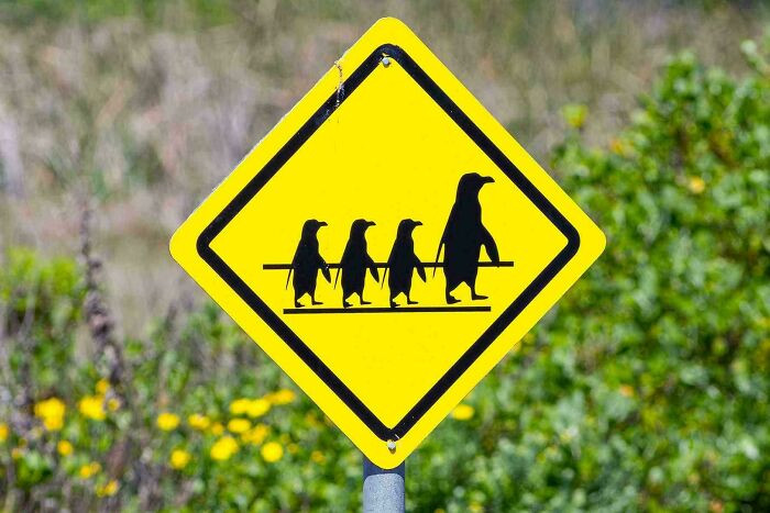 Road sign labeled “Really bad design,” someone frustrated with lowest speed limit