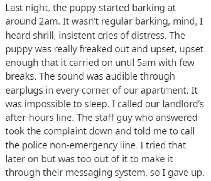 One night, the puppy started barking at 2 a.m., which kept the couple up all night