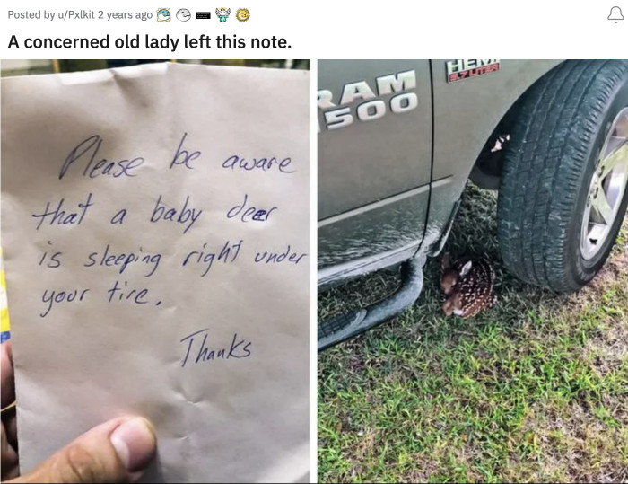 3. A caring lady who definitely saved a life that blessed day