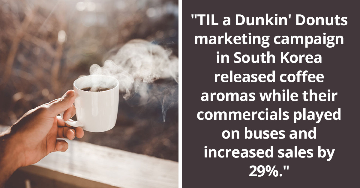 41 Interesting Facts You Certainly Didn't Hear At School, Brought To You By The "Today I Learned" Community