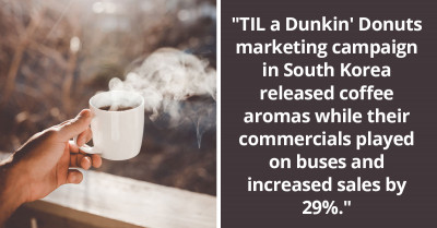 41 Interesting Facts You Certainly Didn't Hear At School, Brought To You By The "Today I Learned" Community