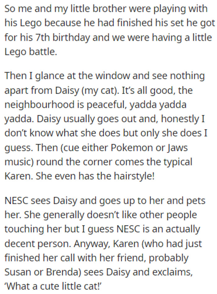 OP was inside their house with their little brother while Daisy was outside, relaxing