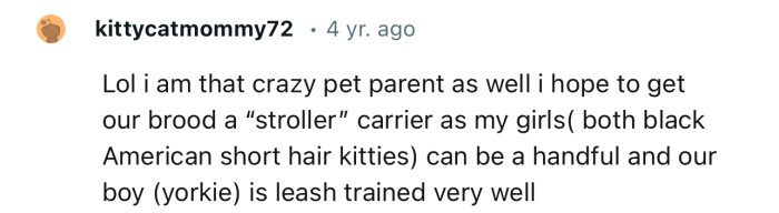 Lol I am that crazy pet parent as well. I hope to get our brood a ‘stroller’ carrier.