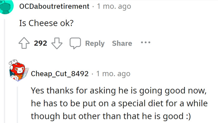 The OP said the cat is okay now