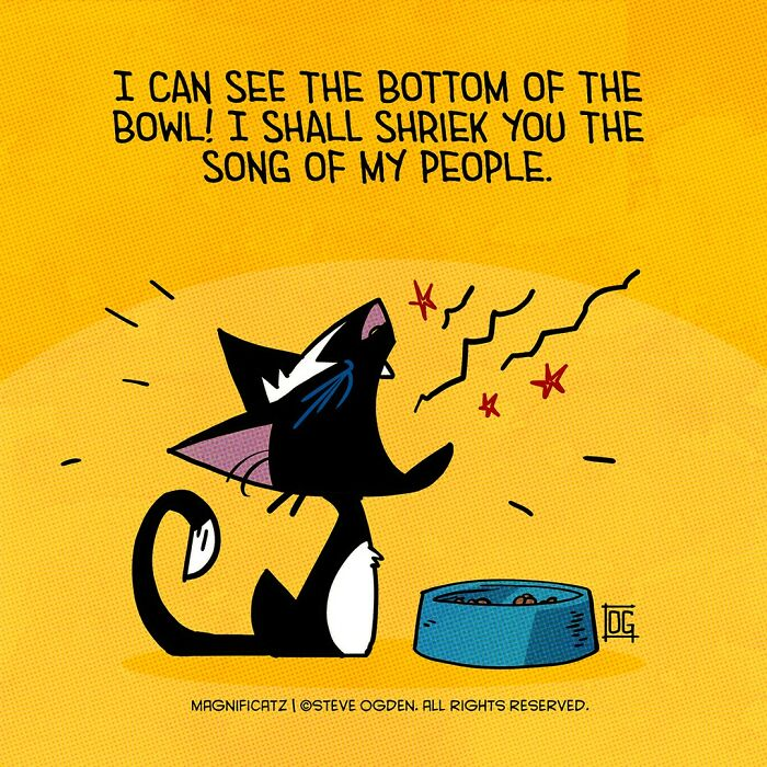 7. Overreacting cats (we love them anyway)