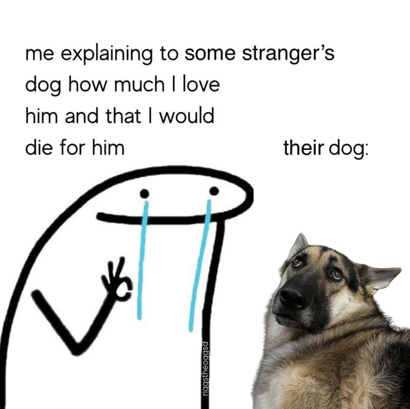 22. “Me: I’d do anything for you. Dog: I just met you, but okay.”