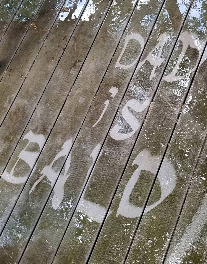 39. My Kid's Grounded, So She Had To Help Power Wash The Deck. I Came Back To This. Grounding Extended