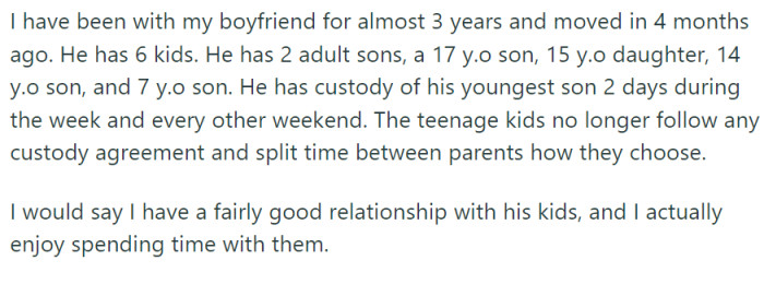 OP has been living with her boyfriend and his six children for four months