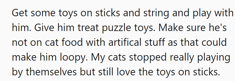Time for interactive toys and treat puzzles—keep that kitty entertained and healthy!