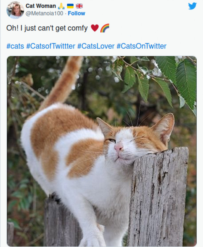 11. It's important to apply all the effort to getting comfy.