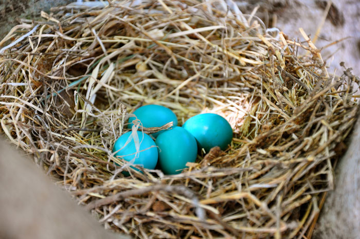 A small lie that led to a major accident