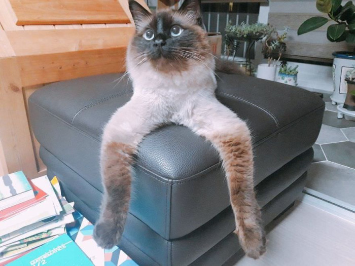 2. Say hello to stretchy