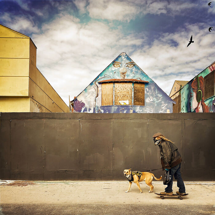 Surveillance By Alon Goldsmith