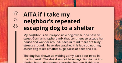 Redditor Contemplates Taking Neighbor’s Escaping Dog To Shelter Without Permission, Asks If They Are Wrong