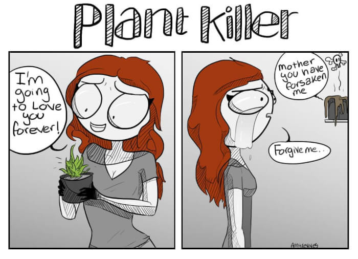 2. Good intentions...