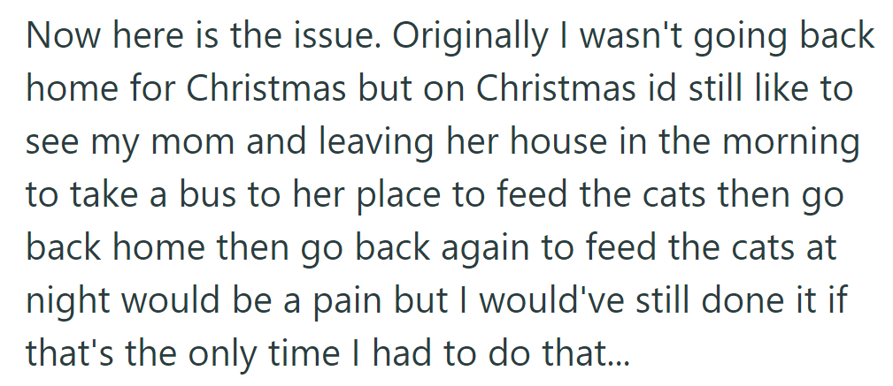 Christmas plans clash: they want to see their mom but must shuttle back and forth to feed the cats, creating a hassle.