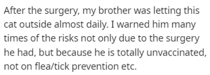 OP's brother didn't care, and he still let the cat outside almost every day after the surgery