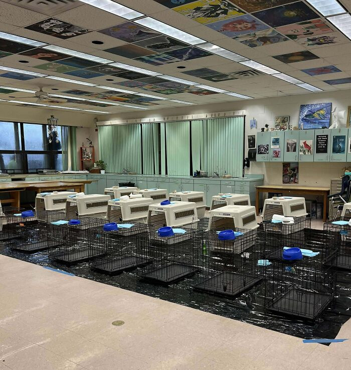 50. I’m Working At A Pop-Up Animal Shelter At A Local High School For Hurricane Ian