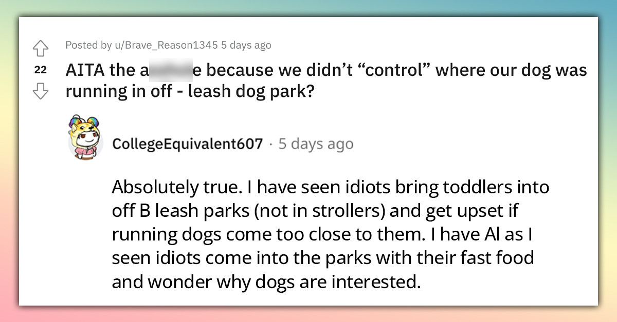 Running Dog Bumps Into Old Lady In An Off-Leash Dog Park, She Yells Cusses At Its Owners