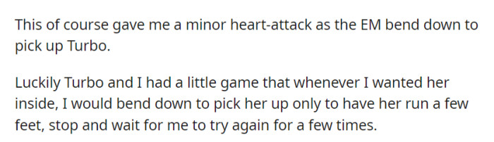 In a heart-pounding moment, the entitled mom tried to grab Turbo, but their cat's playful evasion game bought them some time.