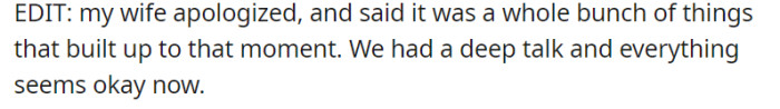 After the incident, his wife took the initiative to apologize, recognizing that it was a culmination of various factors that led to her outburst. They had a heartfelt conversation, and it appears that things have been resolved and are back on track between them.