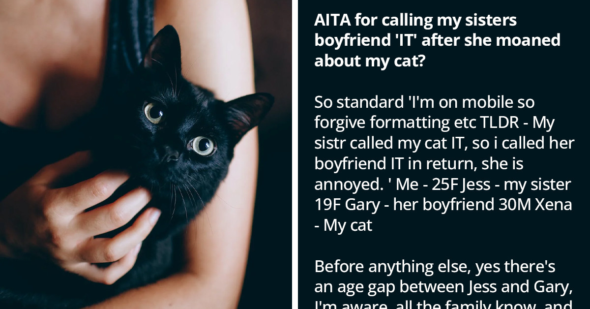Teen Drama Unfolds As Redditor Gets Back At Sister For Calling Her Cat "It" By Calling Her BF The Same