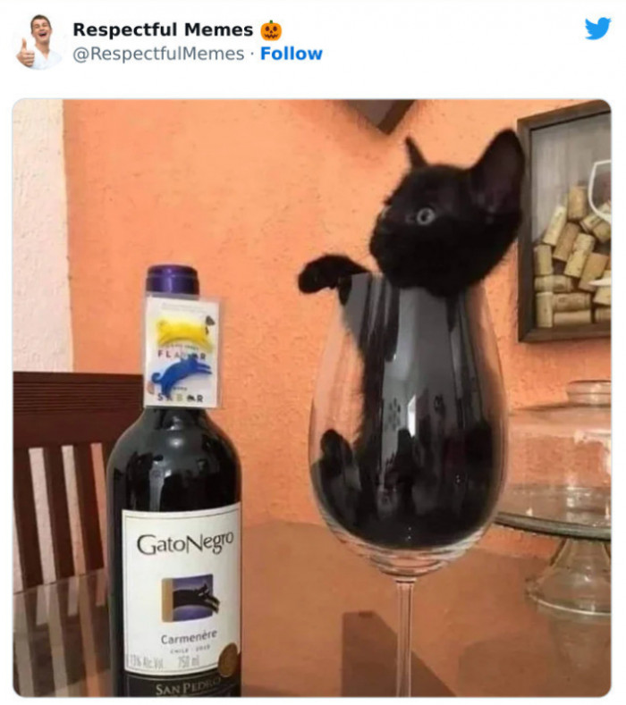 44. Could Use Some Time to Reach a Fuller Body