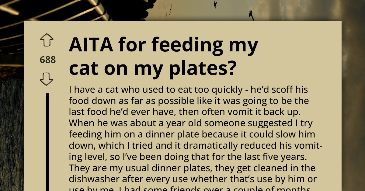 Dinner Party Turns Awkward When Guests Discover How The Host Feeds Her Cat