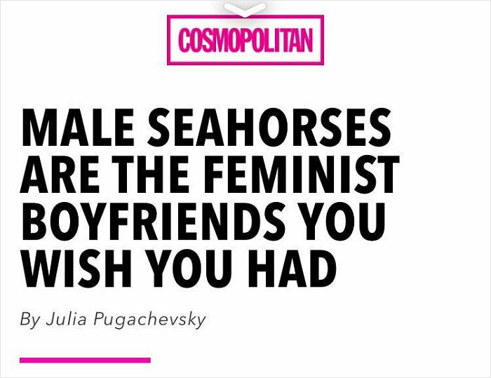 15. Who's making up all these?