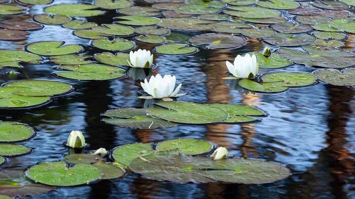 Student Scottish Nature Photographer Of The Year 2025: In The Time Between Portfolio By Rob Henderson