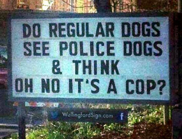 25. Question of the day